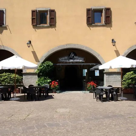 Del Pellegrino * Roncobillaccio