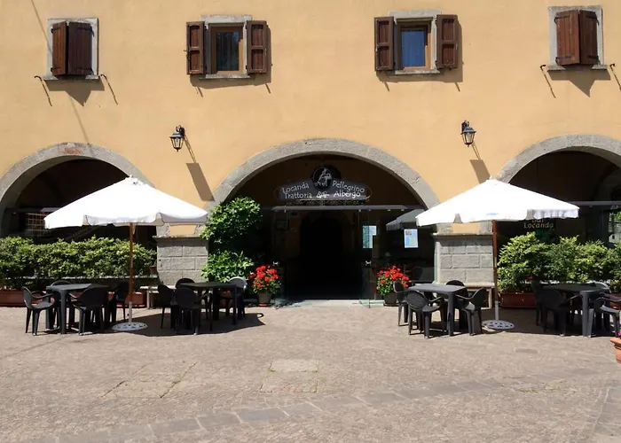 Del Pellegrino * Roncobillaccio